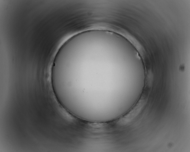 X0000103940862200809261724