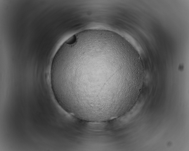 X0000103940863200809261724
