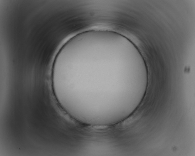 X0000103940864200809261724