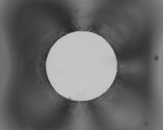 X0000103940865200809261723