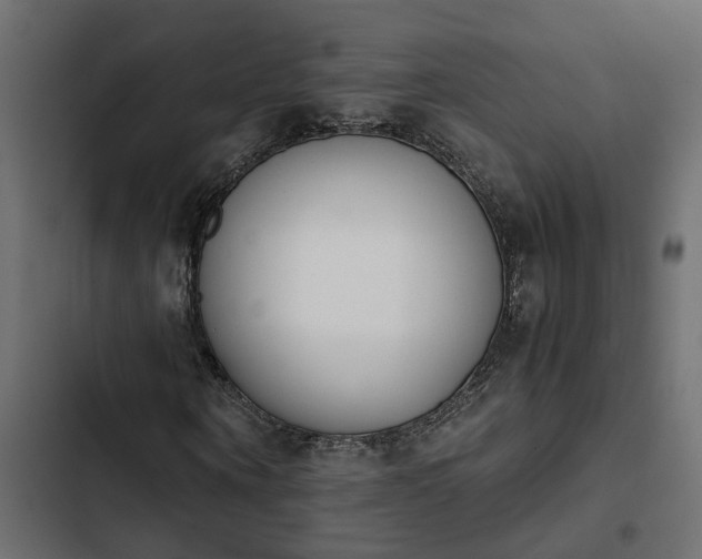 X0000103940866200809261723