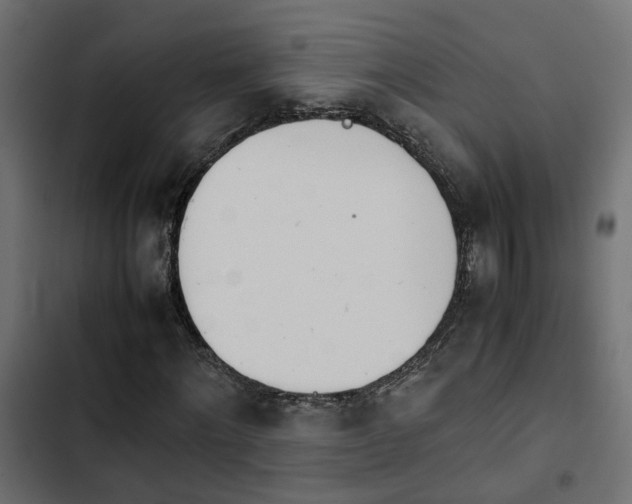 X0000103940868200809261723