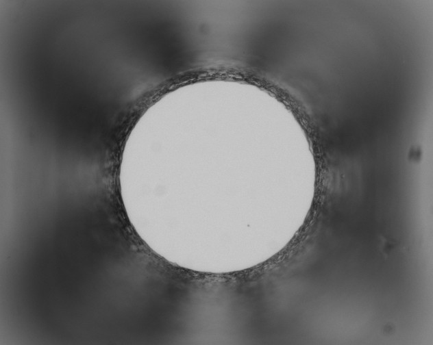 X0000103940869200809261723