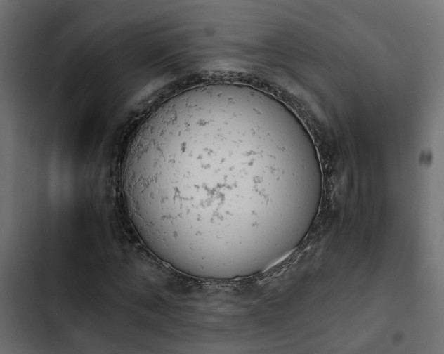 X0000103940870200809261723