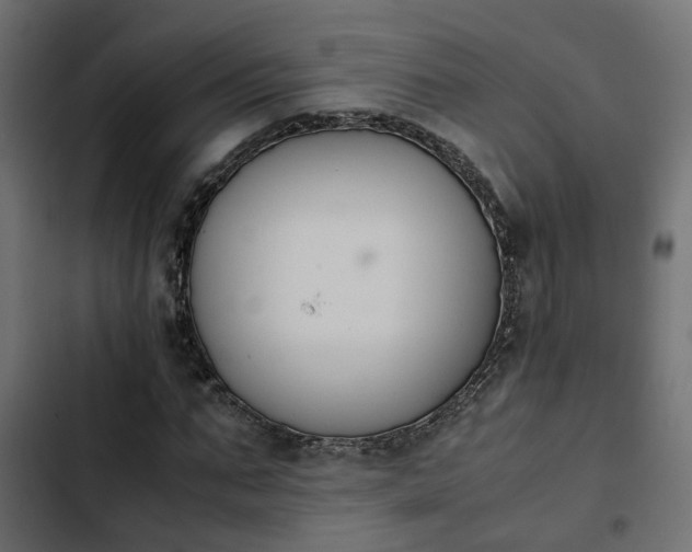 X0000103940871200809261723