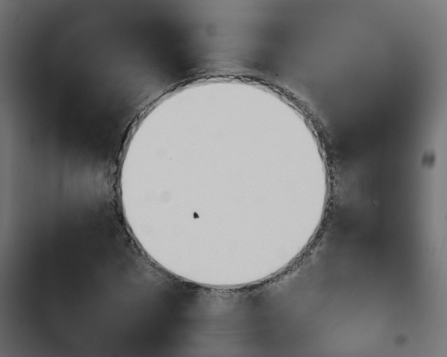 X0000103940873200809261723