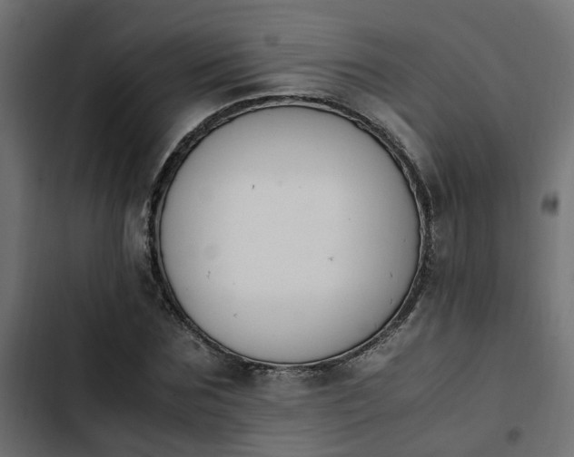 X0000103940875200809261723