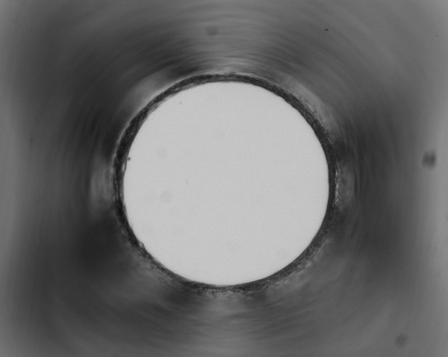 X0000103940876200809261723
