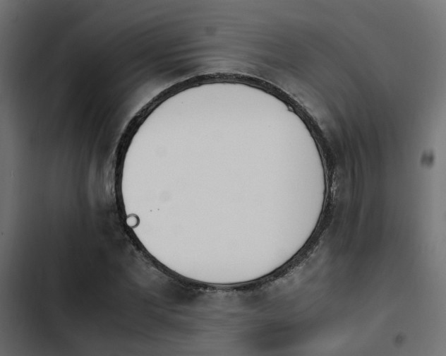 X0000103940877200809261723