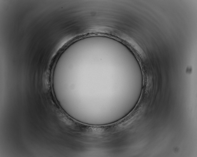 X0000103940878200809261723