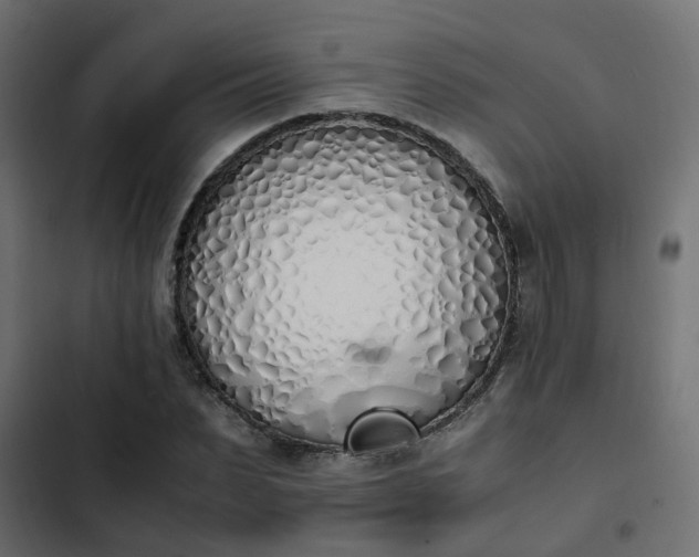 X0000103940879200809261723