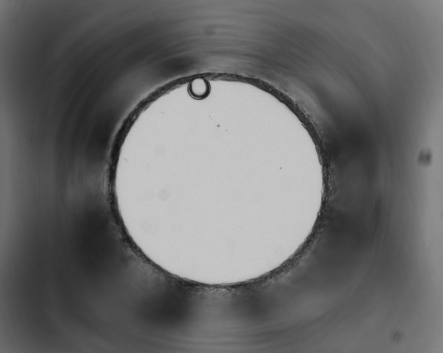 X0000103940880200809261723
