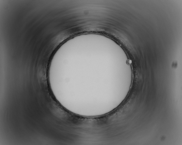 X0000103940881200809261723