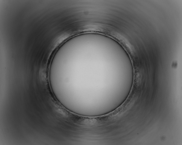 X0000103940882200809261723