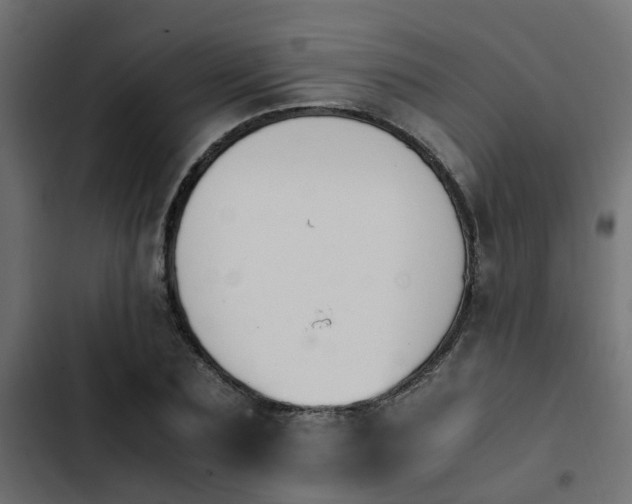 X0000103940883200809261723