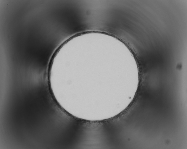 X0000103940884200809261723