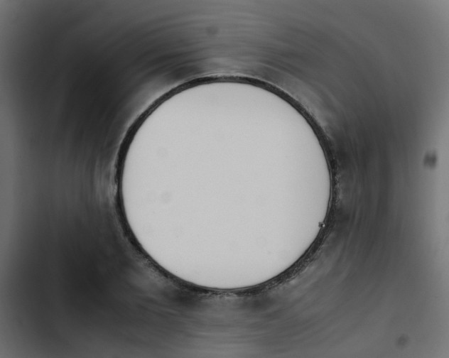 X0000103940885200809261723