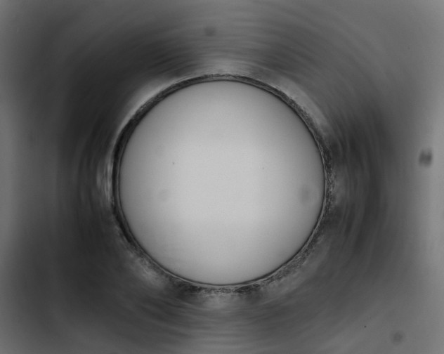X0000103940886200809261723