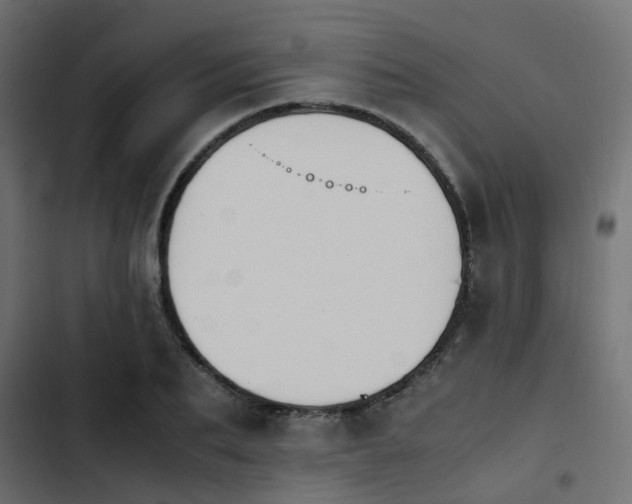 X0000103940887200809261723