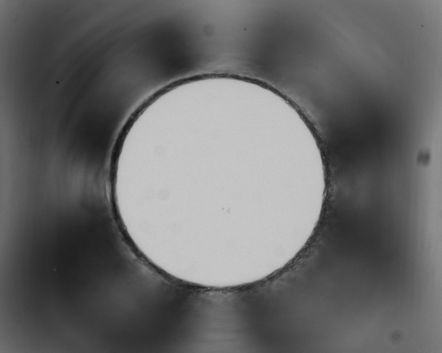 X0000103940888200809261723