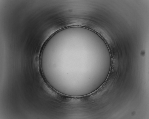 X0000103940890200809261723
