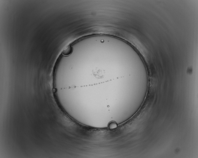 X0000103940891200809261723