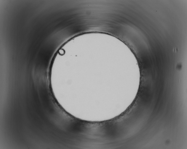 X0000103940892200809261723
