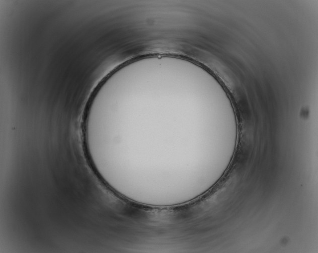 X0000103940893200809261723