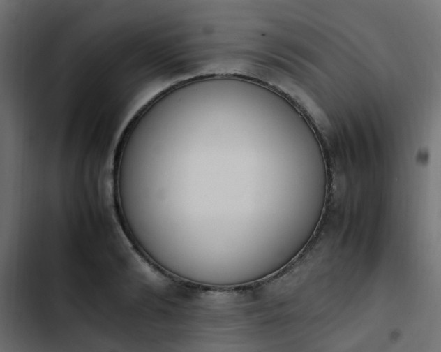 X0000103940894200809261723