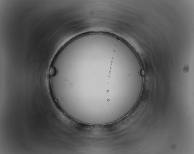 X0000103940895200809261723