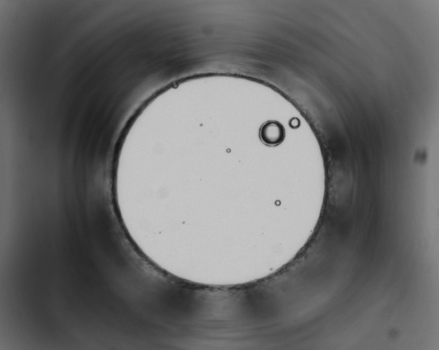 X0000103940896200809261723