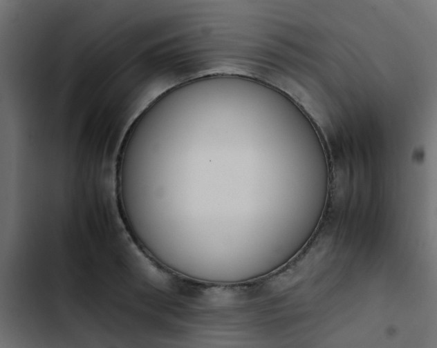 X0000103940898200809261723
