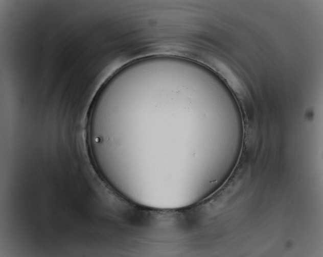 X0000103940899200809261723