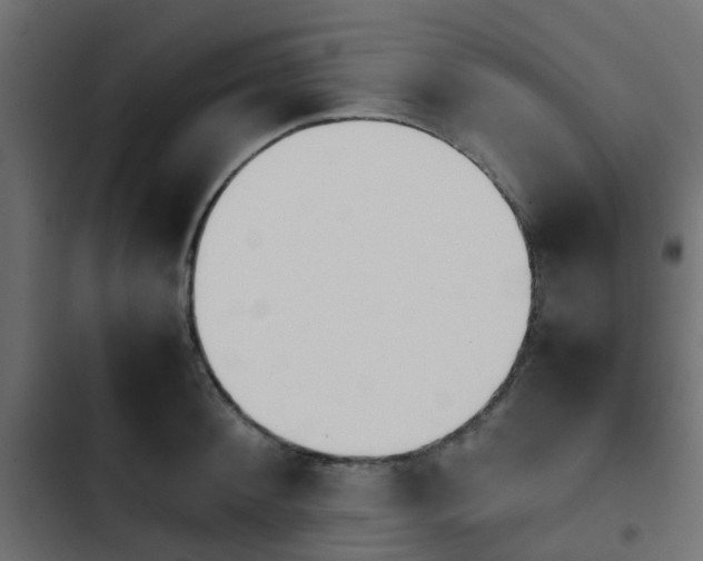 X0000103940900200809261723
