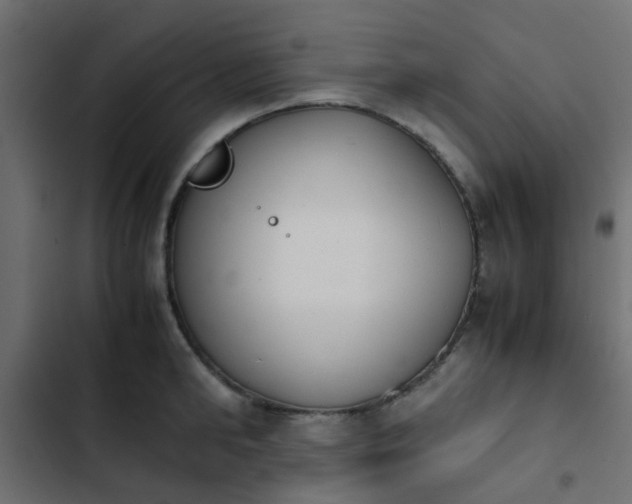 X0000103940902200809261723