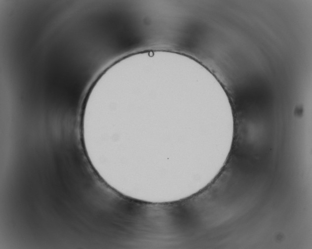 X0000103940904200809261723