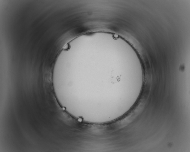X0000103940905200809261723
