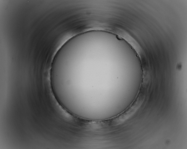 X0000103940906200809261723