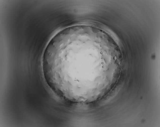 X0000103940907200809261723