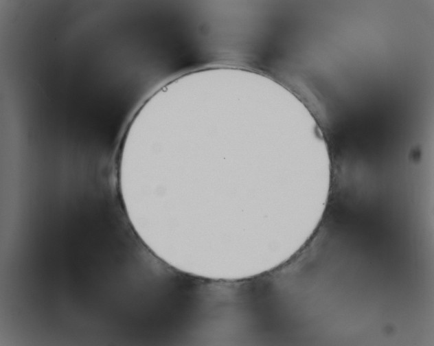 X0000103940908200809261723