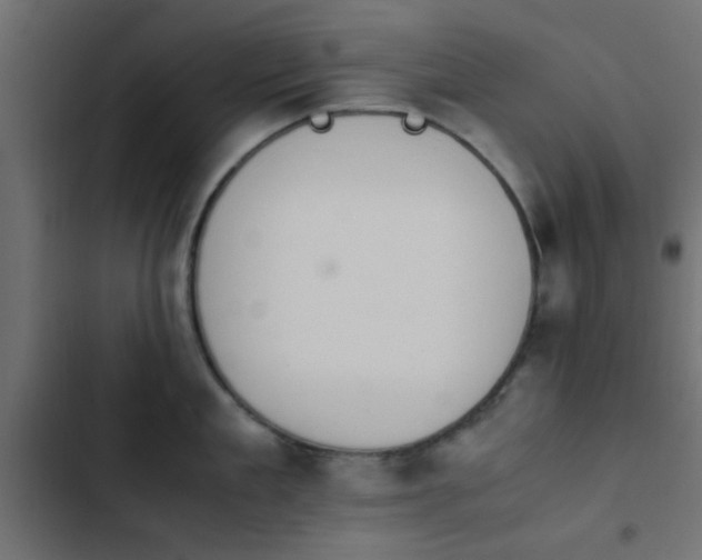 X0000103940909200809261723