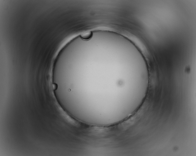 X0000103940910200809261723