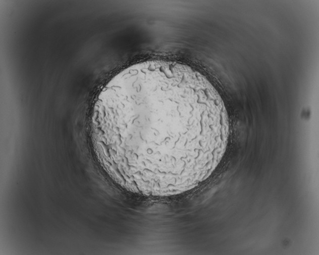 X0000103940913200809261722
