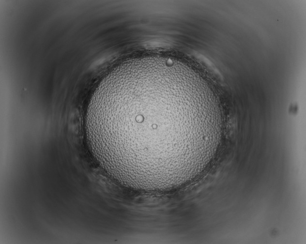 X0000103940917200809261722