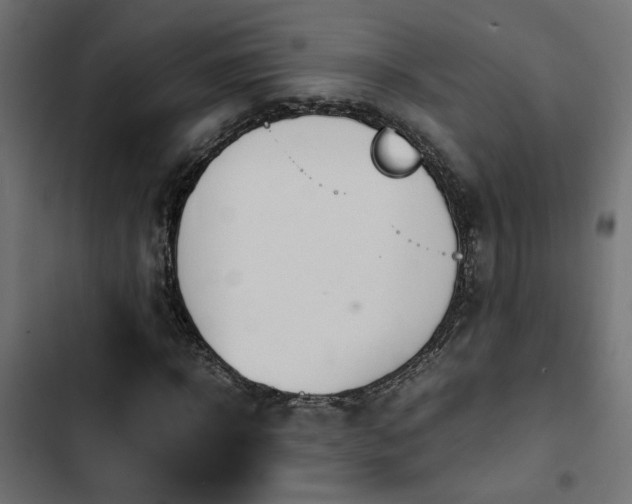 X0000103940918200809261722