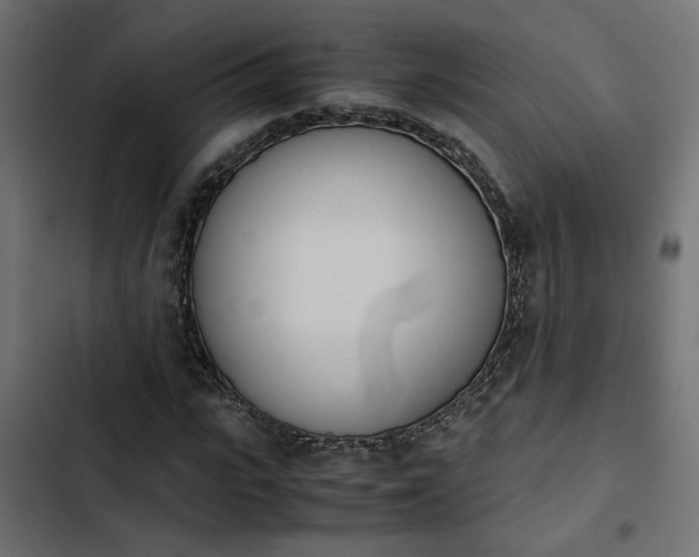 X0000103940919200809261722