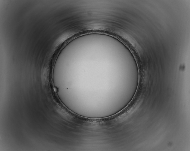 X0000103940922200809261722