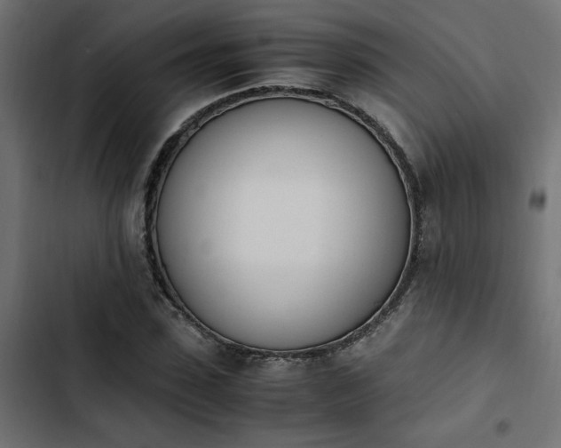 X0000103940923200809261722