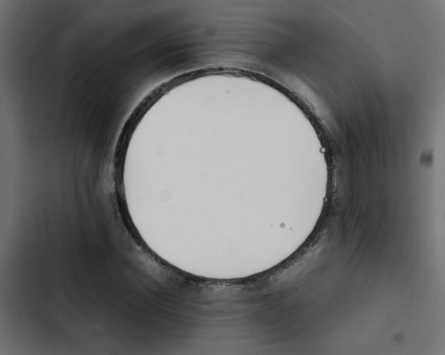 X0000103940924200809261722