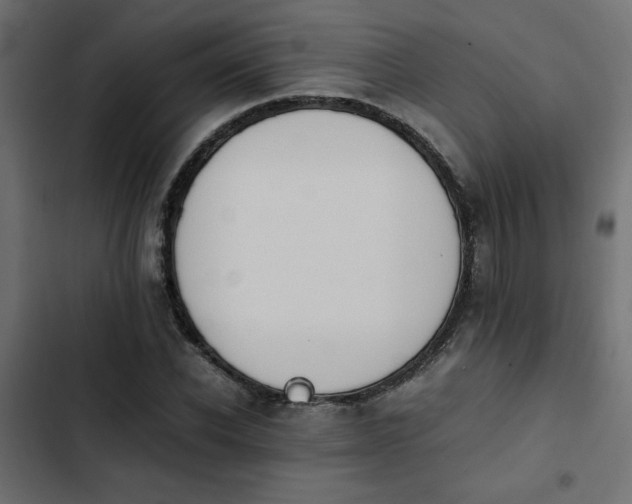 X0000103940926200809261722